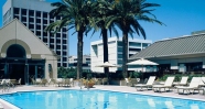 rooftop swimming pool.jpg